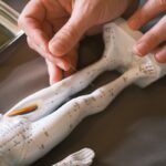 대체요법, 현대인의 새로운 건강 해법이 될 수 있을까? a person holding a snake