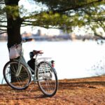 MZ세대 직장인, 일과 삶의 균형을 위한 ‘웰니스 루틴’ 뜬다 bicycle near tree