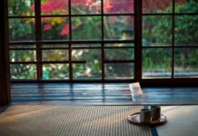 점점 늘어나는 만성피로, 일상 속 자기관리 루틴으로 돌파구 찾기 two mugs on saucer plate on floor