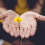마음 챙김의 일상화, 건강한 정신을 위한 새로운 루틴 selective focus photography of woman holding yellow petaled flowers