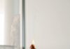 MZ세대가 이끄는 웰니스 문화, ‘나만의 건강 루틴’이 대세 person holding orange flower in front of white wall