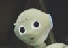 AI가 이끄는 건강 관리, 내 일상은 어떻게 달라질까? white robot toy holding black tablet